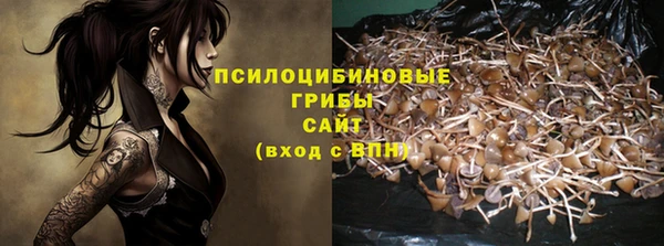 гидропоника Абдулино