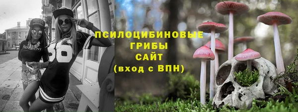 гашик Алексин